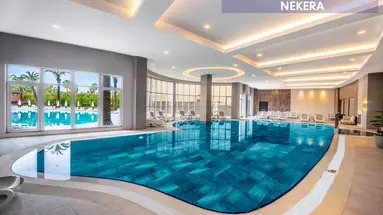 LEODIKYA KIRMAN PREMIUM