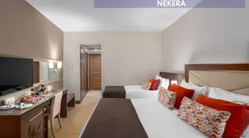 LEODIKYA KIRMAN PREMIUM