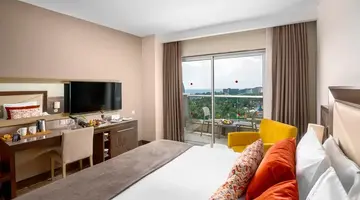 Leodikya Kirman Premium