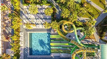 Leodikya Kirman Premium