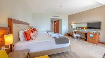 Leodikya Kirman Premium