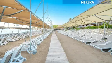 Leodikya Kirman Premium