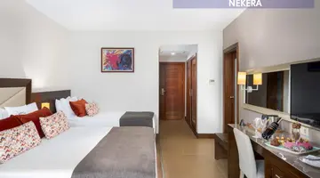 Leodikya Kirman Premium