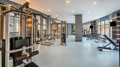 LEODIKYA KIRMAN PREMIUM