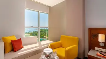 Leodikya Kirman Premium
