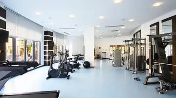 Leodikya Kirman Premium
