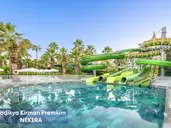 Leodikya Kirman Premium
