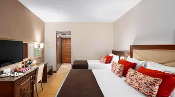 Leodikya Kirman Premium