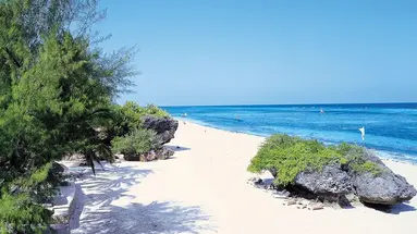 Leopard Beach Resort & Spa