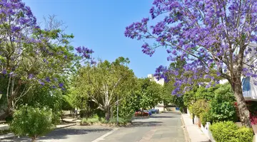 Leptos Paphos Gardens Holiday Resort