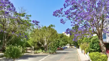 Leptos Paphos Gardens Holiday Resort