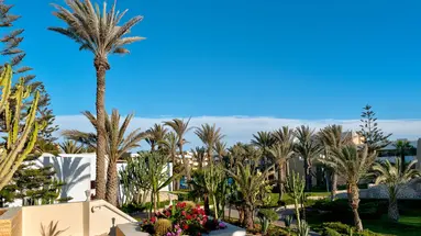 Les Dunes d’Or