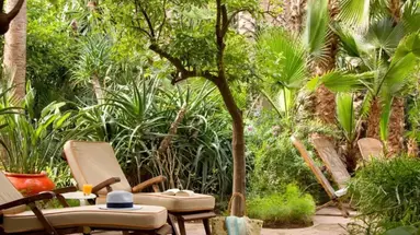 Les Jardins de la Medina