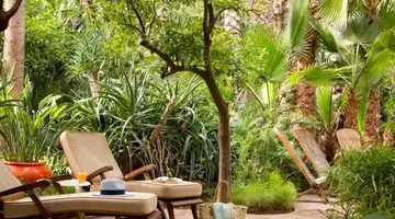 Les Jardins de la Medina