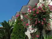 Letsos Hotel