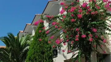 Letsos Hotel