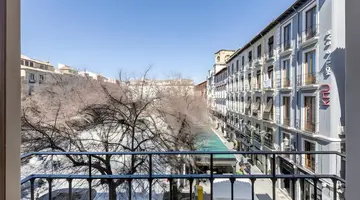 Libere Granada Catedral