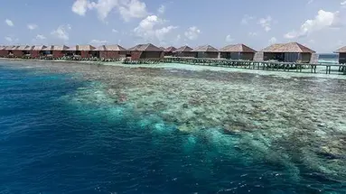 Lily Beach Resort & SPA