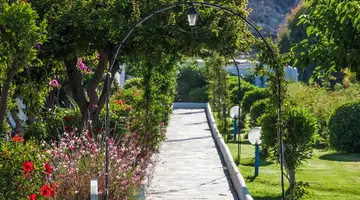 LINDOS SUN