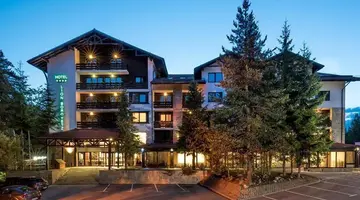 Lion Borovets