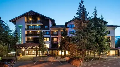 Lion Borovets