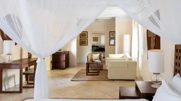 Lion In The Sun