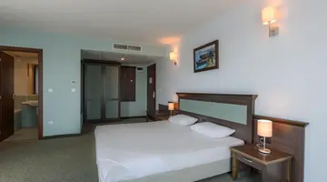 LION SB