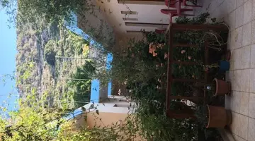 LITSA EFI
