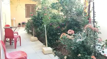 LITSA EFI