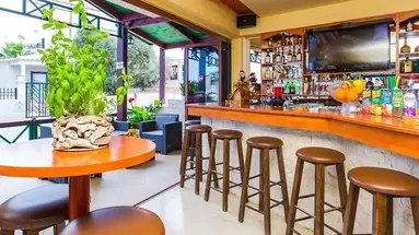 Litsa Studios