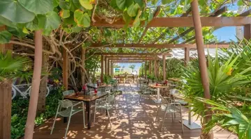 Live Aqua Beach Resort Cancun All Inclusive, Adults Only