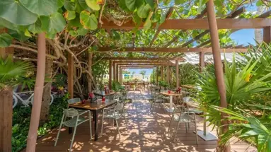 Live Aqua Beach Resort Cancun All Inclusive, Adults Only