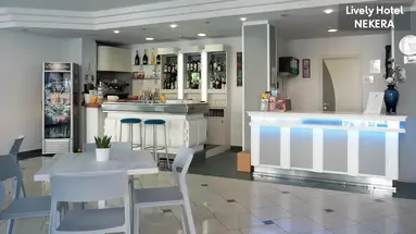 Lively Hotel