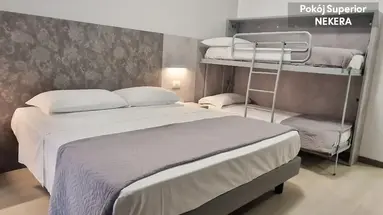 Lively Hotel