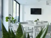 Lively Hotel