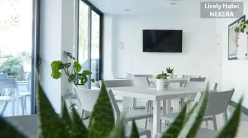Lively Hotel