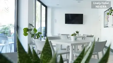 Lively Hotel
