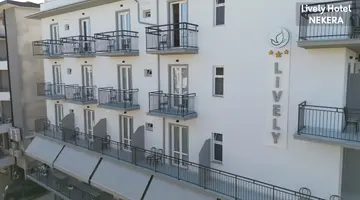 Lively Hotel