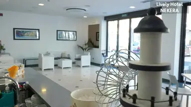 Lively Hotel