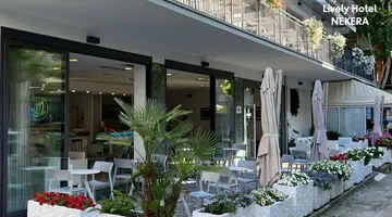 Lively Hotel