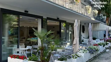 Lively Hotel