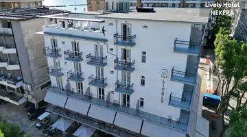Lively Hotel