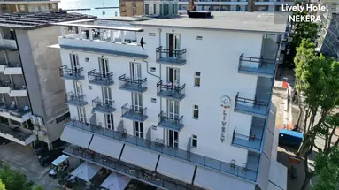 Lively Hotel