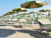 Lively Hotel