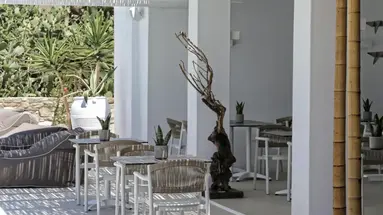 LIVIN MYKONOS Adults Only 16+