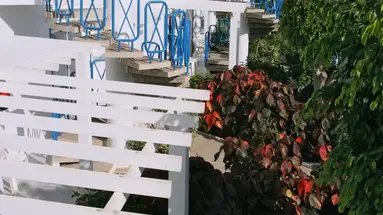 LIVVO Apartments Oasis