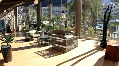 LIVVO COSTA TAURITO
