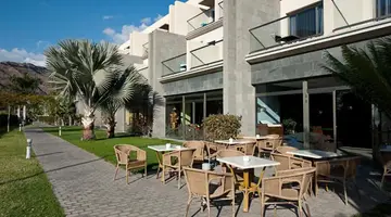 LIVVO COSTA TAURITO