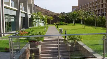 LIVVO COSTA TAURITO