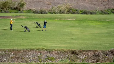 LIVVO JANDIA GOLF
